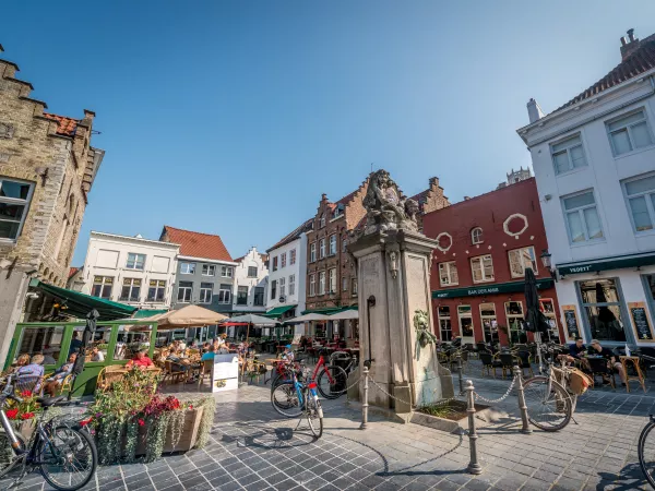 La Mine De Diamant Brugge